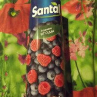 Нектар Santal "Лесные ягоды"