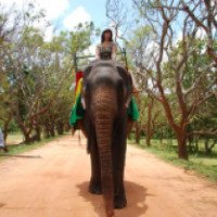 Экскурсия "Катание на слонах" (Шри-Ланка)