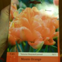 Семена Петрофлора "Тюльпан махровый ранний" Monte Orange