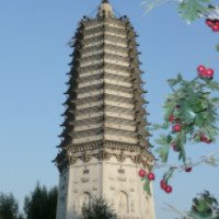 Экскурсия в парк Wu Goujingguang Sheli Pagoda 