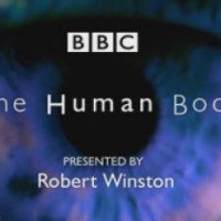Документальный фильм "BBC: Тело человека" (1998)