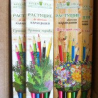 Растущие карандаши Green stick "Цветущий сад"