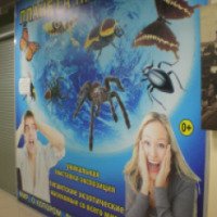Выставка-экспозиция уникальных насекомых со всего мира "Планета насекомых" (Россия, Пермь)