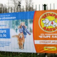 Благотворительная выставка "Собака-обнимака" (Россия, Королев)