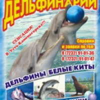 Московский передвижной дельфинарий (Казахстан, Усть-Каменогорск)