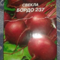 Семена свеклы Семена Украины "Бордо 237"
