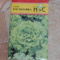 Семена салата Новые семена "Касабланка"