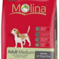 Корм для взрослых собак крупных пород Molina Adult Maxi