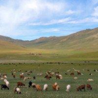Путешествие по Монголии (Монголия)