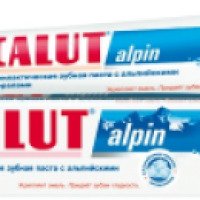 Лечебно-профилактическая зубная паста Lacalut Alpin