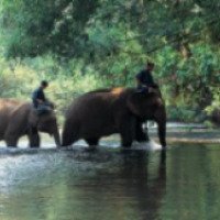 Тур на слонах к водопаду Као Сока (Таиланд)