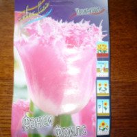 Луковицы тюльпана Colorline "Фэнси Фрилс"