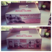 Набор Royal Canin Kitten
