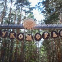 Фестиваль деревянной скульптуры "Лукоморье" (Россия, Иркутская область)
