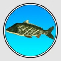 Реальная Рыбалка - игра для Android