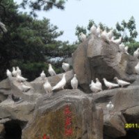 Парк птиц в Бэйдайхэ (Китай, Циньхуандао)