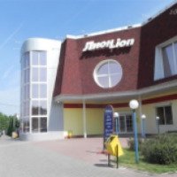 Магазин стройматериалов "Лион" (Россия, Новомосковск)