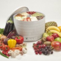 Сушилка для овощей, фруктов и мяса Ezidri Snackmaker FD500