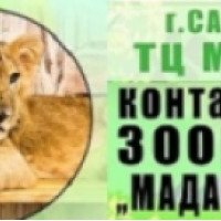 Контактный зоопарк с хищниками "Мадагаскар" (Россия, Саратов)