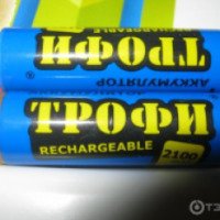 Аккумуляторные батареи "Трофи" R6 АА