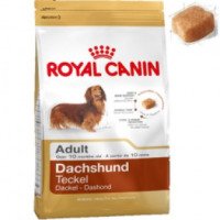 Корм для собак породы такса Royal Canin