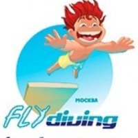 Батутно акробатический центр "Flydiving" (Россия, Москва)