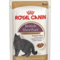 Консервы для кошек Royal Canin British Shorthair