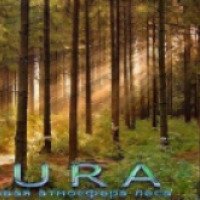 Аура. Звуковая атмосфера леса - программа для Windows