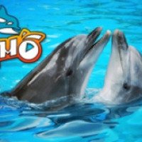 Дельфинарий "Немо" (Украина, Бердянск)