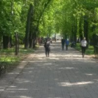Городской парк на ул. Ленина (Россия, Рязань)
