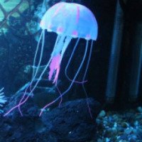 Силиконовая медуза для аквариума Barbus