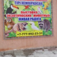 Выставка экзотических животных "Живая радуга" (Казахстан, Усть-Каменогорск)