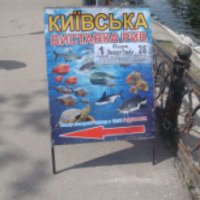 Киевская выставка рыб (Украина, Днепропетровск)