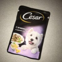 Корм для собак Cesar "С ягненком в сырном соусе"