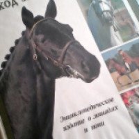 Книга "Лошади и уход за ними. Энциклопедическое издание о лошадях и пони" - Владимир Марук