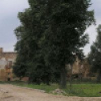 Руины Гольшанского замка (Белоруссия, Гродненская область)