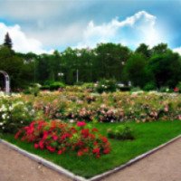 Большой розарий в парке "Сокольники" 