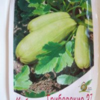 Семена кабачка Сортсемовощ "Грибовские 37"