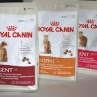 Сухой корм для кошек Royal Canin "Exigent"
