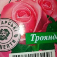Фитошампунь Болгарские рецепты Роза
