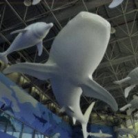 Музей морского дела в Шардже (ОАЭ, Шарджа)