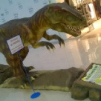 Интерактивная выставка динозавров Юрского периода в ТРЦ РИО (Россия, Тверь)