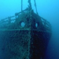Дайвинг-экскурсия на затонувшее судно "Rosalie Moller" 
