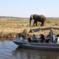 Сафари круиз на лодке по парку Чобе (Ботсвана)