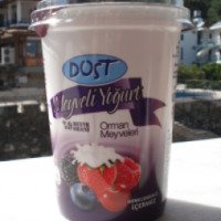 Йогурт Dost Meyveli Yogurt