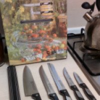 Набор 5 кухонных ножей с магнитом Borner Ideal