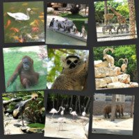 Зоопарк Хайфы (Израиль)