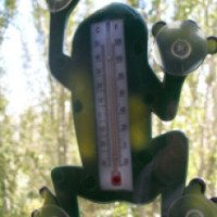 Оконный термометр Garden Kraft Лягушка