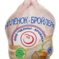 Тушка цыпленка-бройлера Челны-Бройлер потрошеная 1сорт