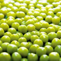 Горошек зеленый консервированный Терский пищекомбинат